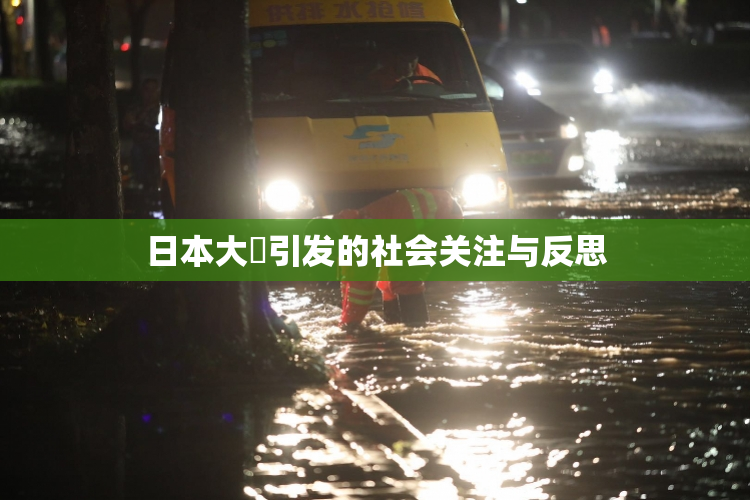 日本大隂引发的社会关注与反思