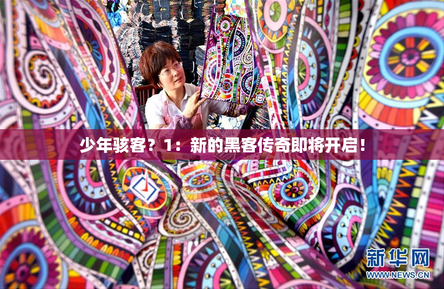 少年骇客？1：新的黑客传奇即将开启！