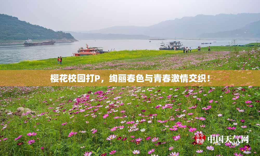 樱花校园打P，绚丽春色与青春激情交织！