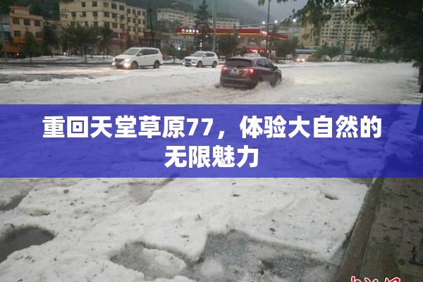 重回天堂草原77，体验大自然的无限魅力