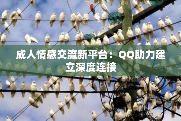成人情感交流新平台：QQ助力建立深度连接