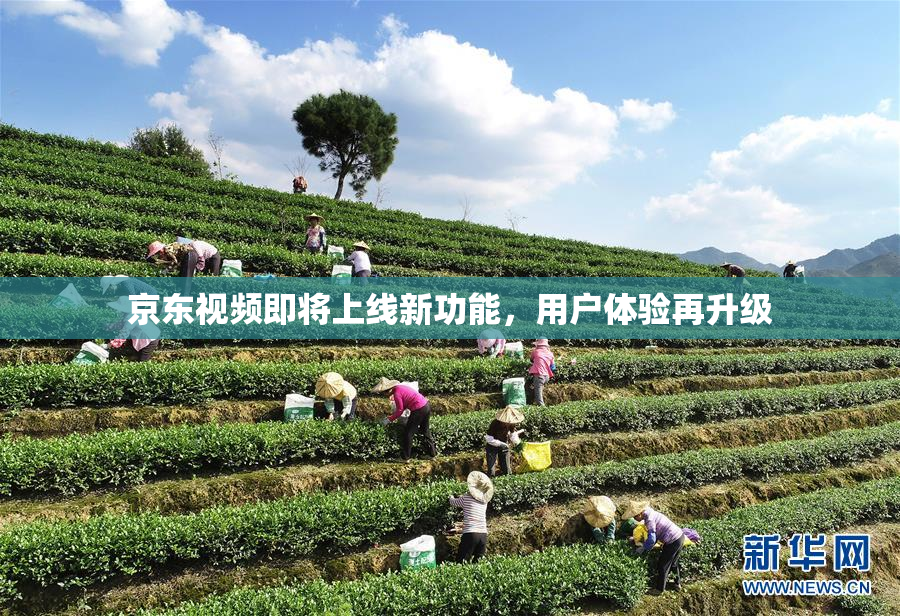 京东视频即将上线新功能，用户体验再升级