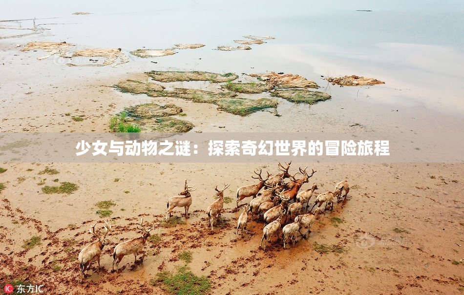 少女与动物之谜：探索奇幻世界的冒险旅程