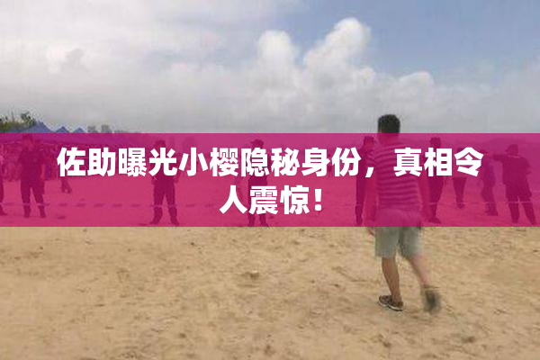 佐助曝光小樱隐秘身份，真相令人震惊！