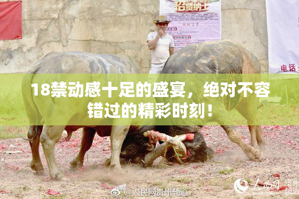 18禁动感十足的盛宴，绝对不容错过的精彩时刻！