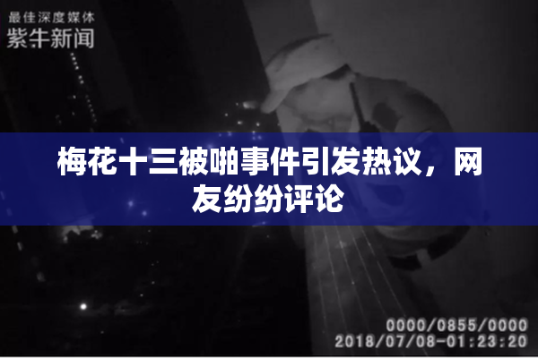梅花十三被啪事件引发热议，网友纷纷评论