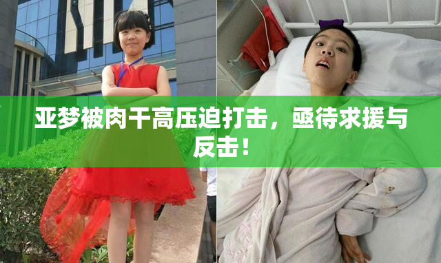 亚梦被肉干高压迫打击，亟待求援与反击！