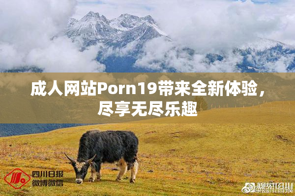 成人网站Porn19带来全新体验，尽享无尽乐趣