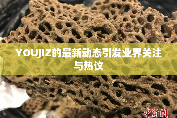 YOUJIZ的最新动态引发业界关注与热议