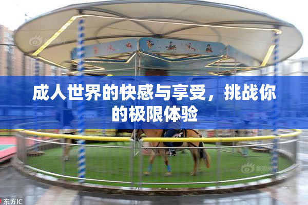 成人世界的快感与享受，挑战你的极限体验