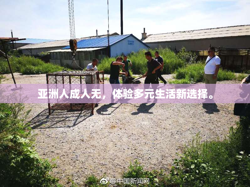 亚洲人成人无，体验多元生活新选择。
