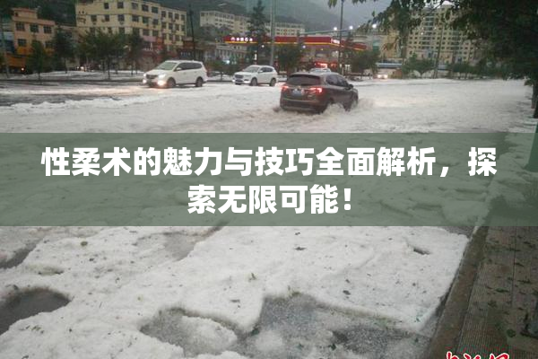 性柔术的魅力与技巧全面解析，探索无限可能！