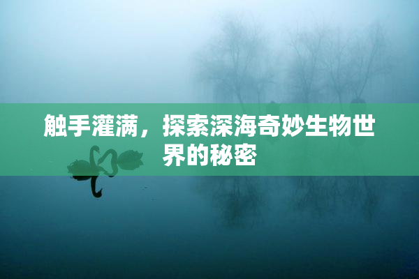 触手灌满，探索深海奇妙生物世界的秘密