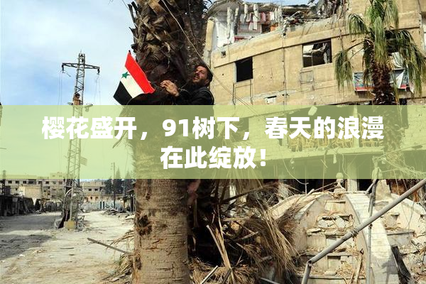 樱花盛开，91树下，春天的浪漫在此绽放！