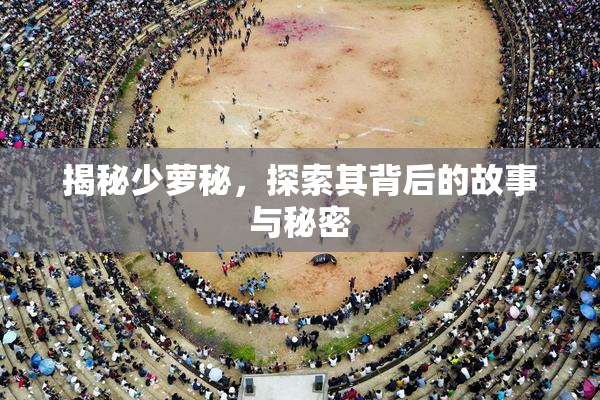 揭秘少萝秘，探索其背后的故事与秘密