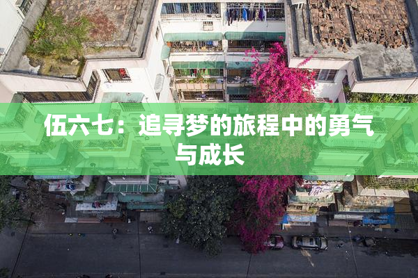 伍六七：追寻梦的旅程中的勇气与成长