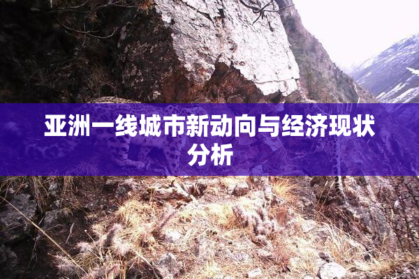 亚洲一线城市新动向与经济现状分析