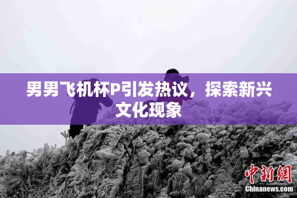 男男飞机杯P引发热议，探索新兴文化现象