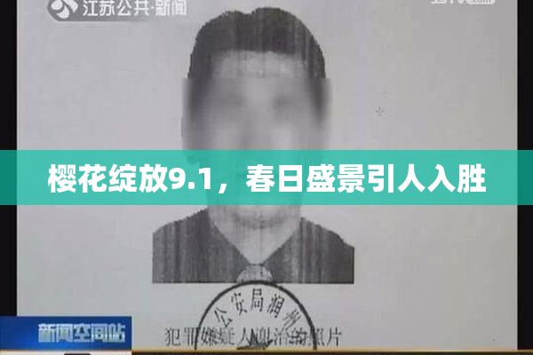 樱花绽放9.1，春日盛景引人入胜