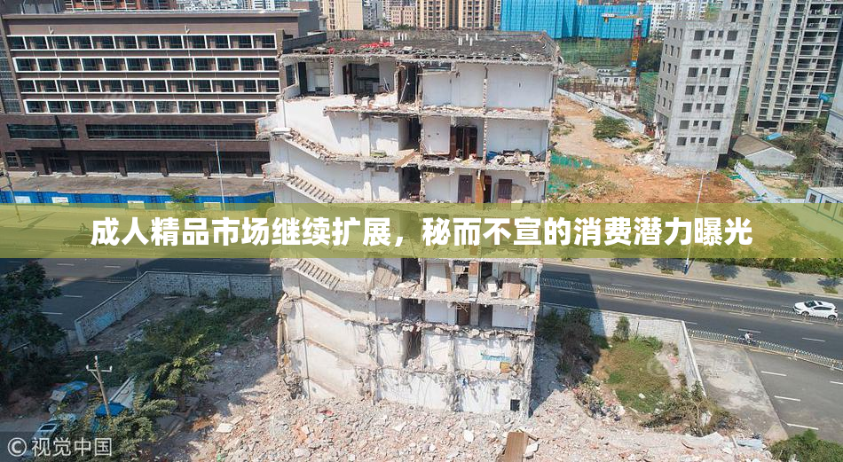 成人精品市场继续扩展，秘而不宣的消费潜力曝光
