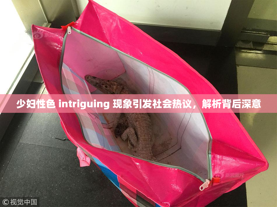 少妇性色 intriguing 现象引发社会热议，解析背后深意