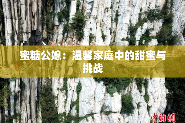 蜜糖公媳：温馨家庭中的甜蜜与挑战