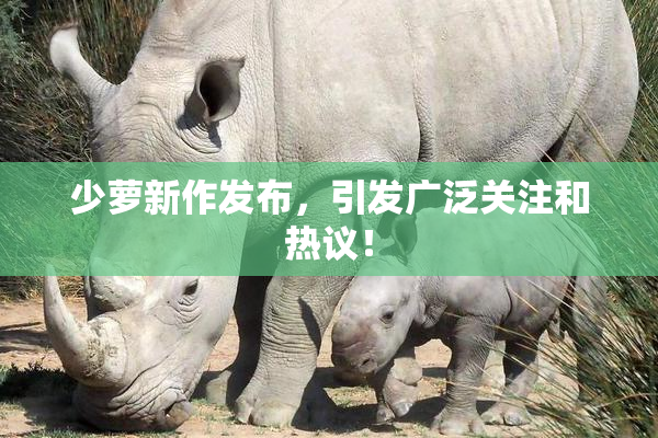 少萝新作发布，引发广泛关注和热议！