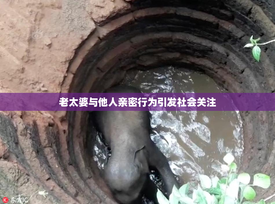 老太婆与他人亲密行为引发社会关注