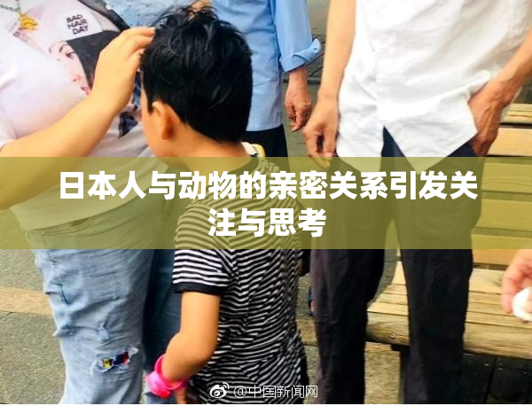 日本人与动物的亲密关系引发关注与思考