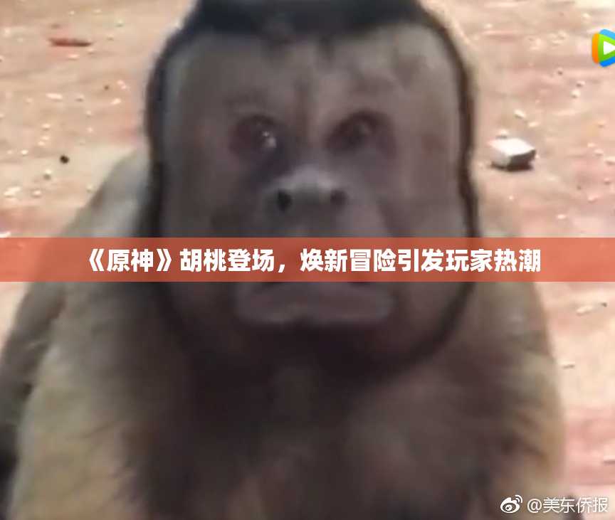 《原神》胡桃登场，焕新冒险引发玩家热潮
