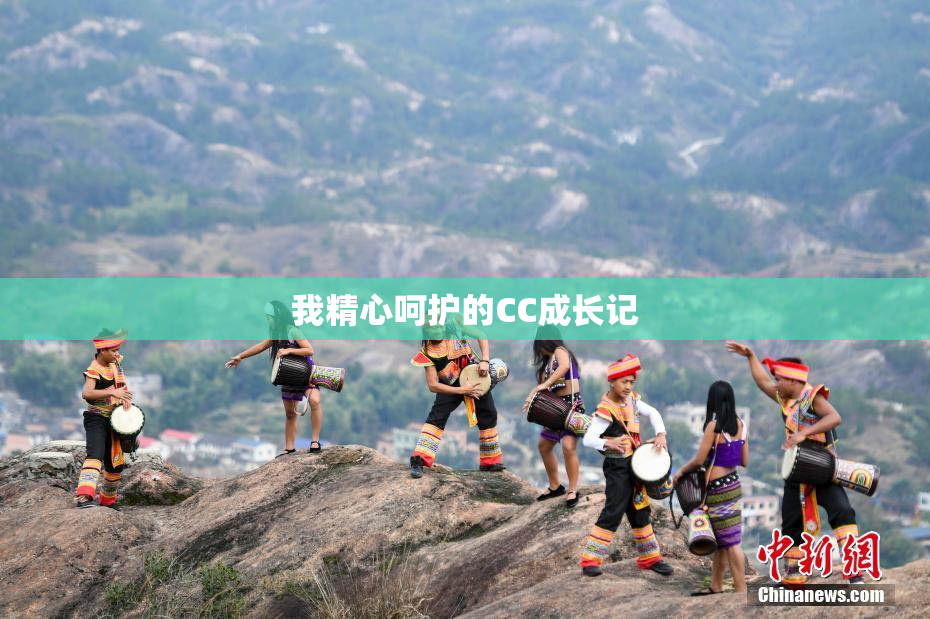 我精心呵护的CC成长记