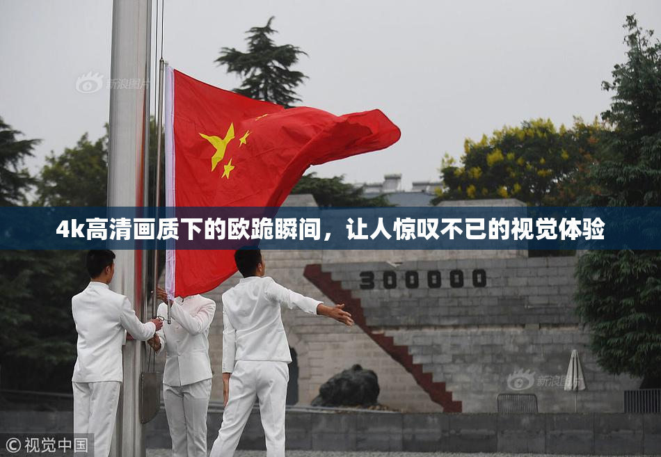 4k高清画质下的欧跪瞬间，让人惊叹不已的视觉体验