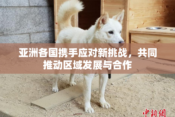 亚洲各国携手应对新挑战，共同推动区域发展与合作