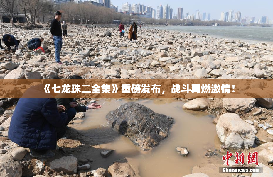 《七龙珠二全集》重磅发布，战斗再燃激情！