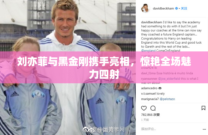 刘亦菲与黑金刚携手亮相，惊艳全场魅力四射