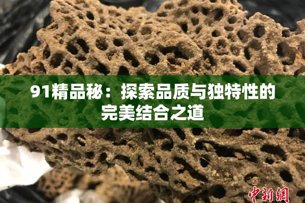 91精品秘：探索品质与独特性的完美结合之道