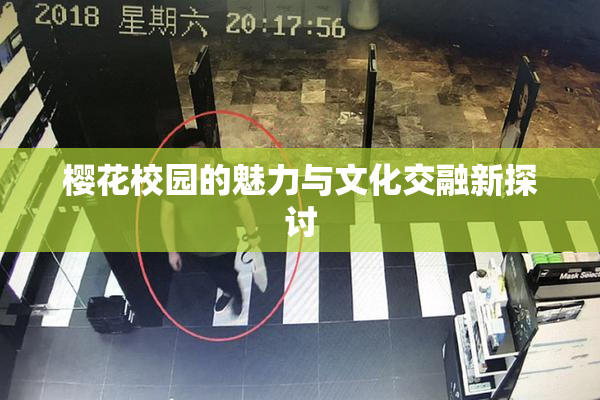 樱花校园的魅力与文化交融新探讨