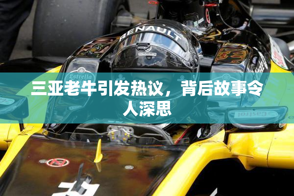 三亚老牛引发热议，背后故事令人深思