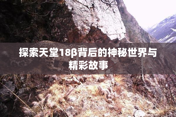 探索天堂18β背后的神秘世界与精彩故事