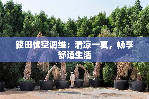 筱田优空调维：清凉一夏，畅享舒适生活