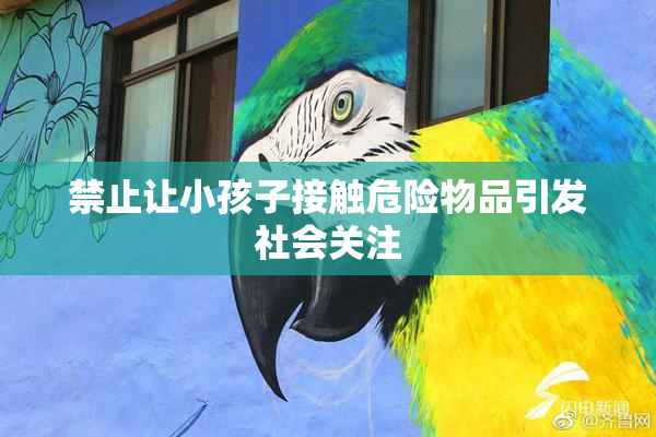 禁止让小孩子接触危险物品引发社会关注