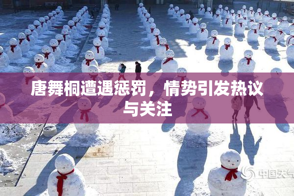 唐舞桐遭遇惩罚，情势引发热议与关注