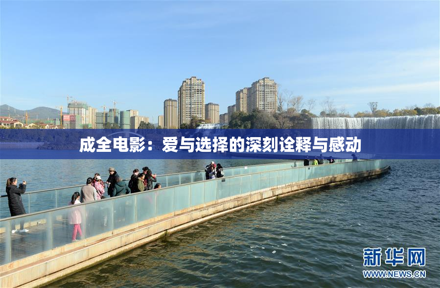 成全电影：爱与选择的深刻诠释与感动