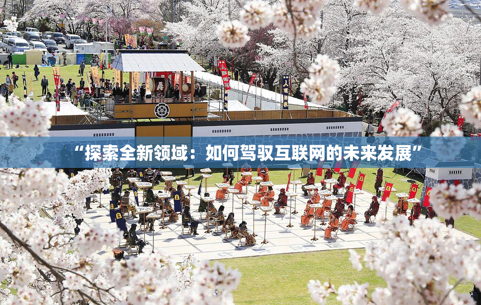 “探索全新领域：如何驾驭互联网的未来发展”