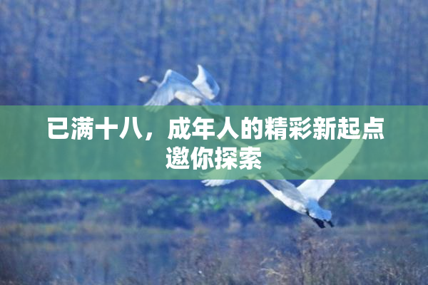 已满十八，成年人的精彩新起点邀你探索