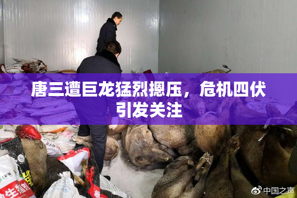 唐三遭巨龙猛烈摁压，危机四伏引发关注