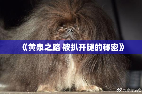 《黄泉之路 被扒开腿的秘密》