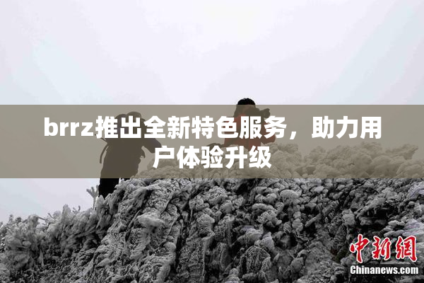 brrz推出全新特色服务，助力用户体验升级