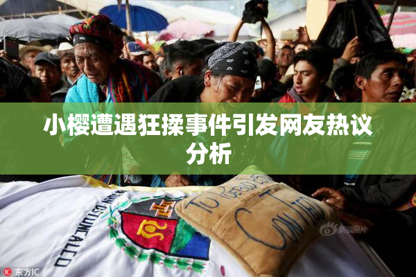 小樱遭遇狂揉事件引发网友热议分析