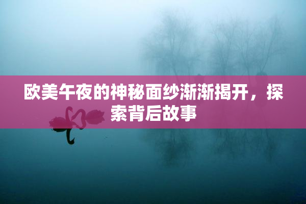 欧美午夜的神秘面纱渐渐揭开，探索背后故事
